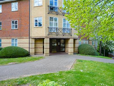 Picture 20